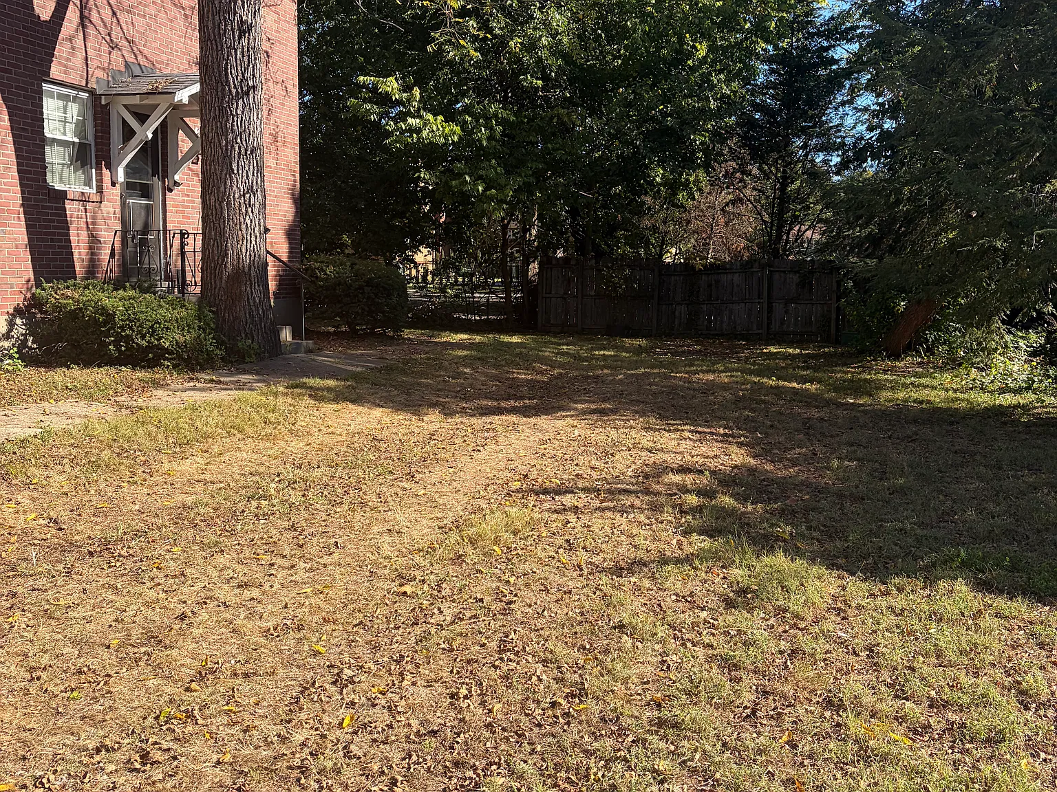1 bed, 800 sqft, $1,000 — Photo 2
