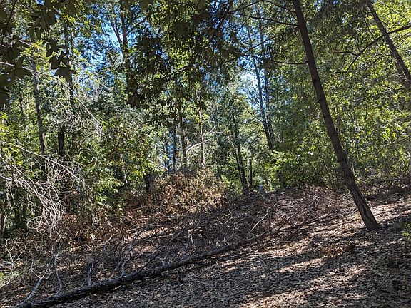 5th image of 30928 King Ridge Road