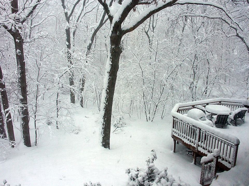 2nd image of 43 Sandalwood Dr