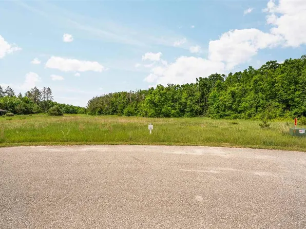 2057 Sanctuary Dr, Harbor Springs, MI 49740