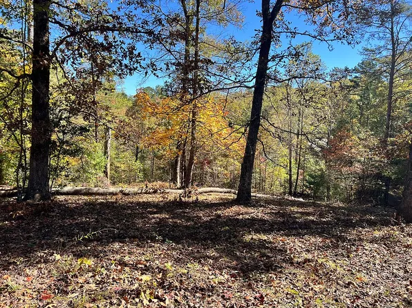 49 Claw Run, Murphy, NC 28906