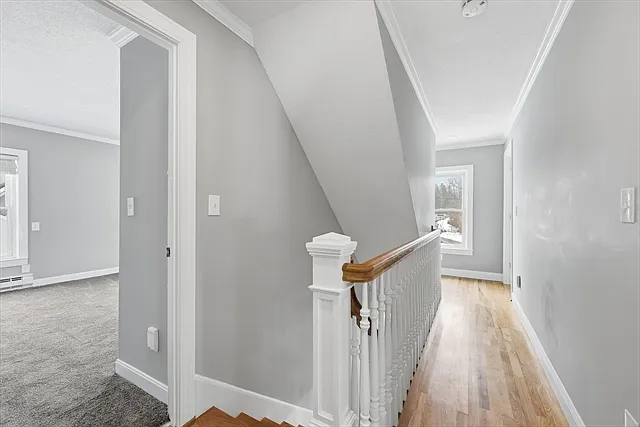 11 Hadley St — Photo 12