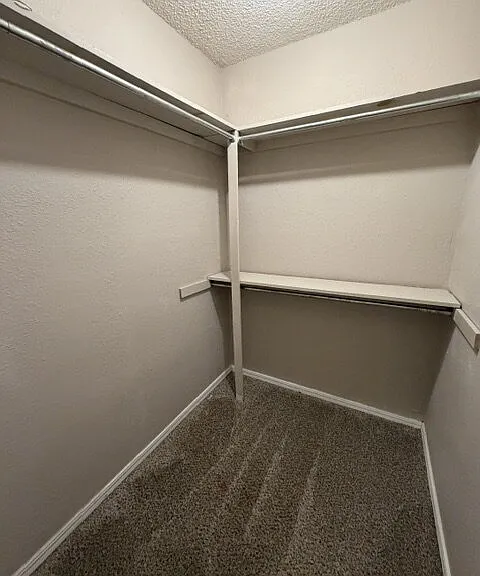 137 Oak Tree Dr — Photo 17