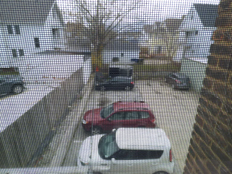 13705 Madison Ave #3 — Photo 13