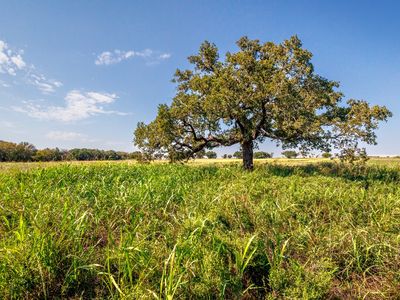 217 County Road 468, De Leon, TX, 76444