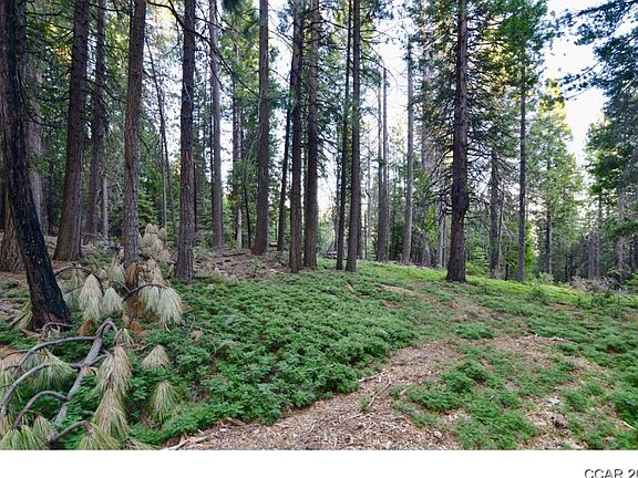 2nd image of 1573 Teton Dr
