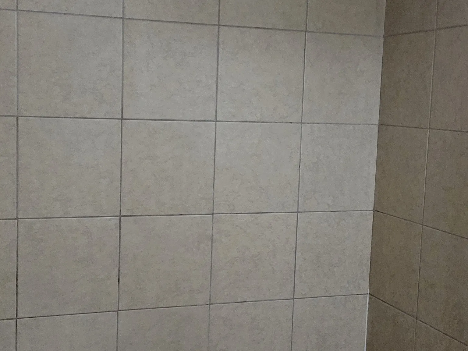 1 bed, $700 — Photo 2