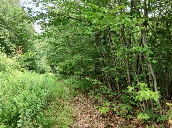 (undisclosed Address), Hancock, NY 13783