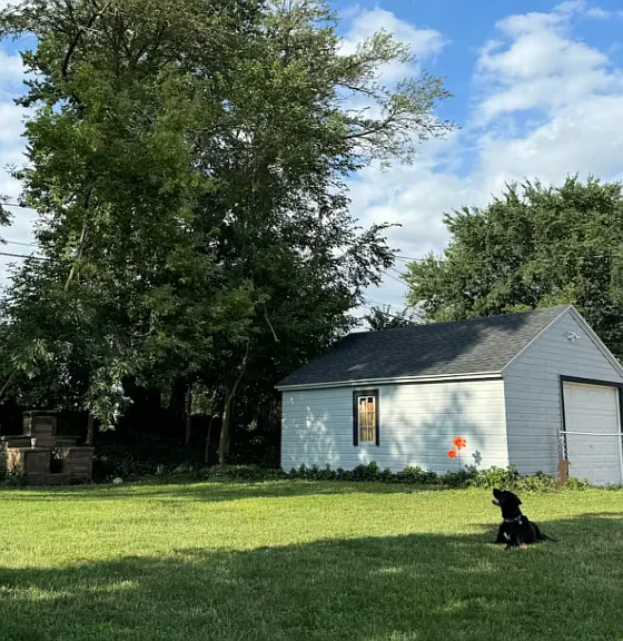 Fenced back yard
