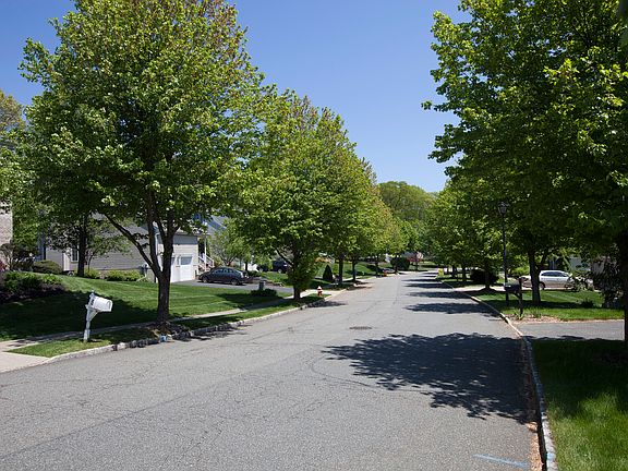 Quiet tree-lined street