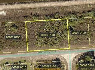 1135 Antonio St E, Lehigh Acres, FL 33974