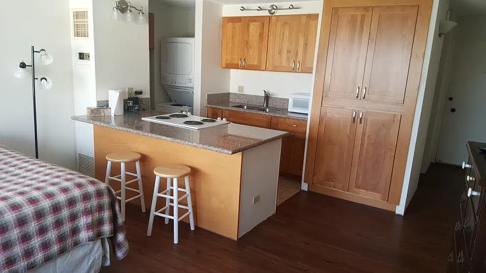 Studio, 464 sqft, $2,400 — Photo 1