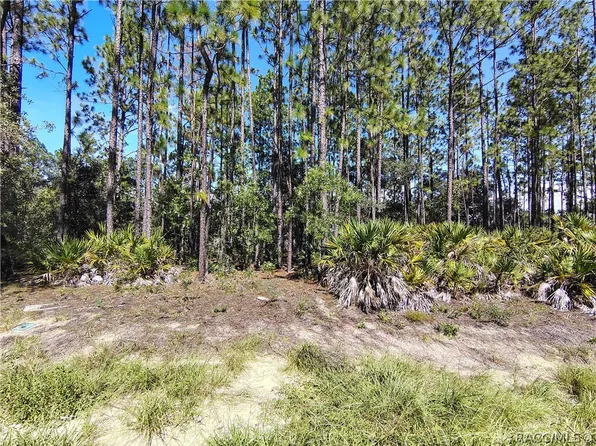 1930 W Wavecrest Dr, Citrus Springs, FL 34434