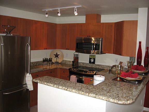 Gourmet kitchen