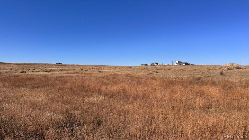 TBD County Road 84 Road