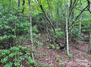 103 Chipmunk Ln, Banner Elk, NC 28604