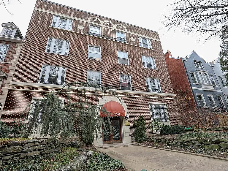 1 bed, 540 sqft, $1,900 — Photo 2