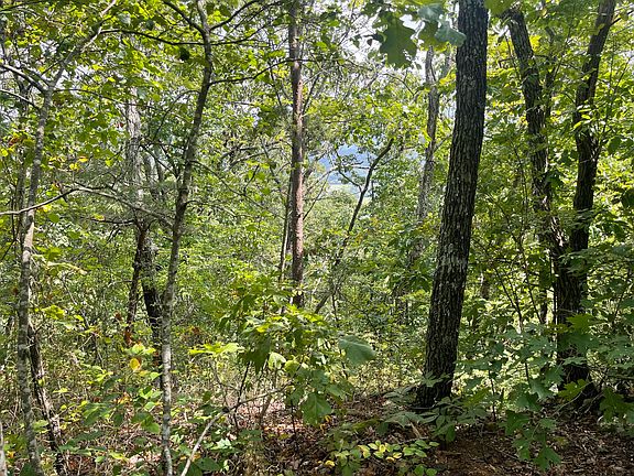 5th image of 1 Raven Rock Rd