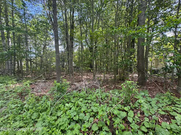 2159 Birchwood Blvd, Pocono Summit, PA 18346