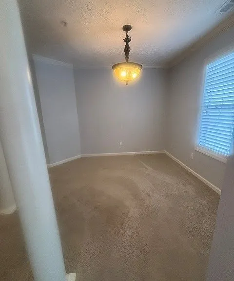 362-10 Bubble Creek Ct — Photo 4