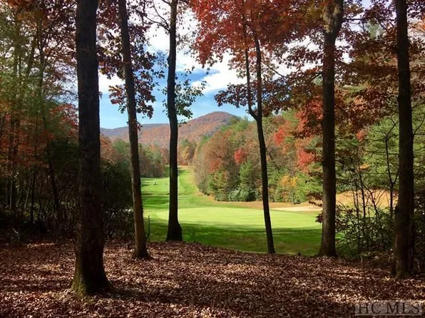 120 Holly Forest Ct, Sapphire, NC 28774