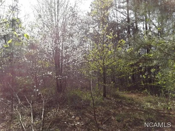 0 Co Rd #1251, Vinemont, AL 35179