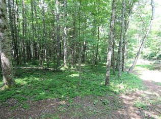 0 Of Forrester Hollow Lane Rd, Mountain City, TN 37683