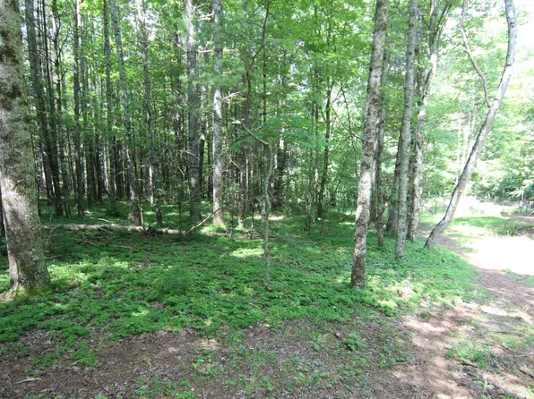 0 Of Forrester Hollow Lane Rd, Mountain City, TN 37683