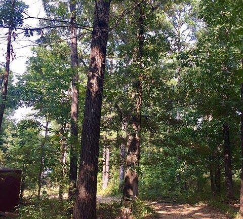 3rd image of 36 County Road 772