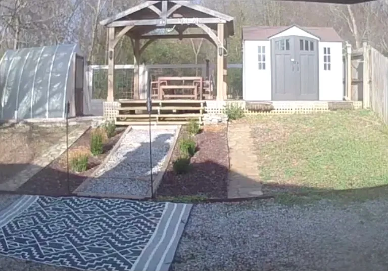 Backyard view during the day