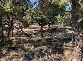 2832 N Carefree Way LOT 2832, Crestone, CO 81131