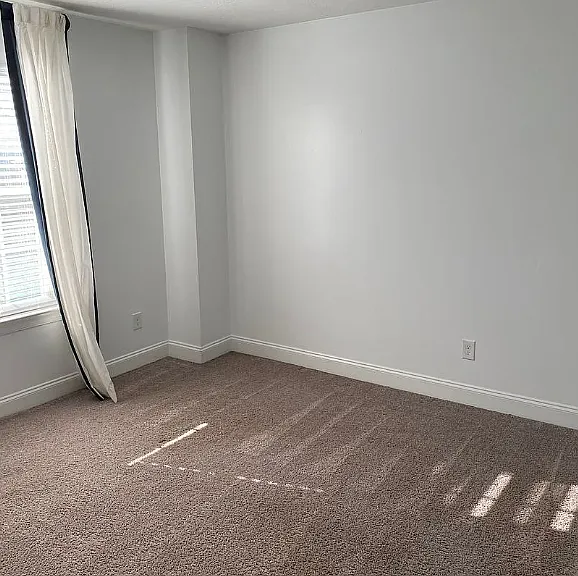 806 Richards Ct — Photo 8