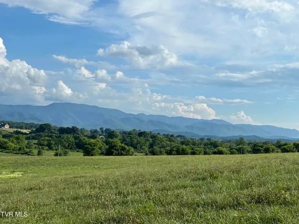 150 Lester Snapp Rd Lot 2, Limestone, TN 37681
