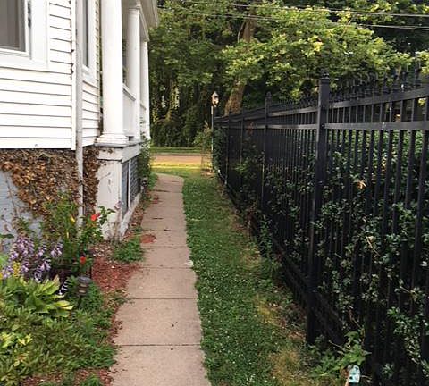 east side of home walk area