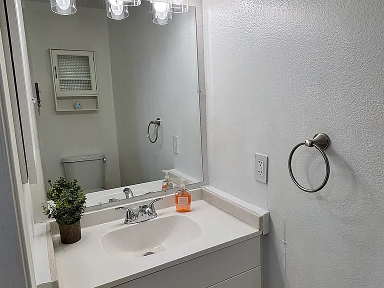 Downstairs half bathroom