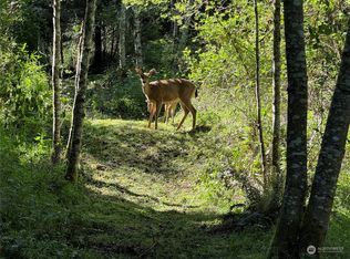 0 Nka Hwy #20, Pt Townsend, WA 98368