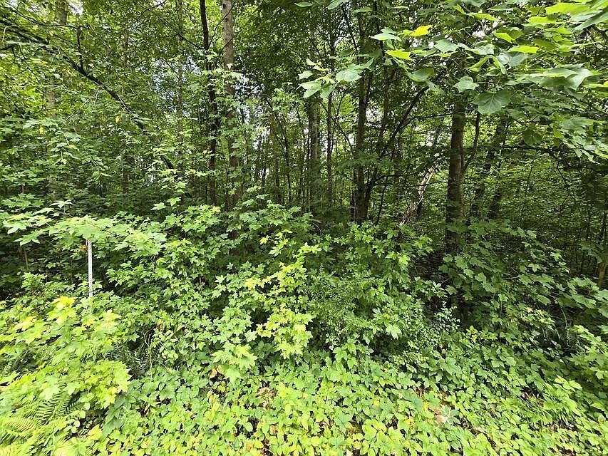 1st image of 133 Lower Brow Rd Lot 133