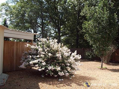 PRIVATE SITTING AREA