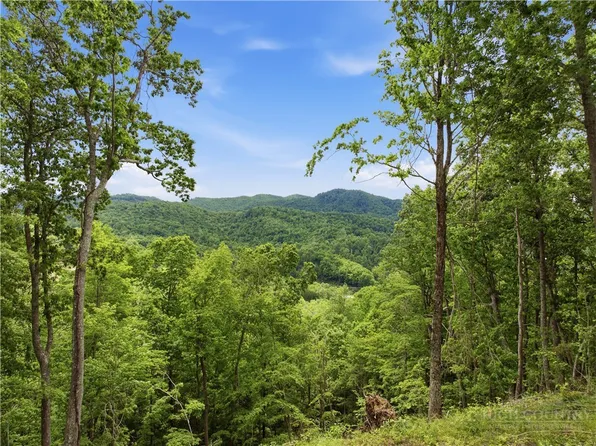 Lot 191 Raspberry Lane, Elk Park, NC 28622