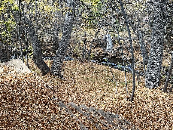 backyard with river