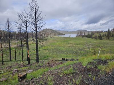 LOT 41 Zen Mountain Dr, Weed, CA, 96094