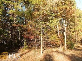 0 Lake Hampton Dr, Hampton, GA 30228