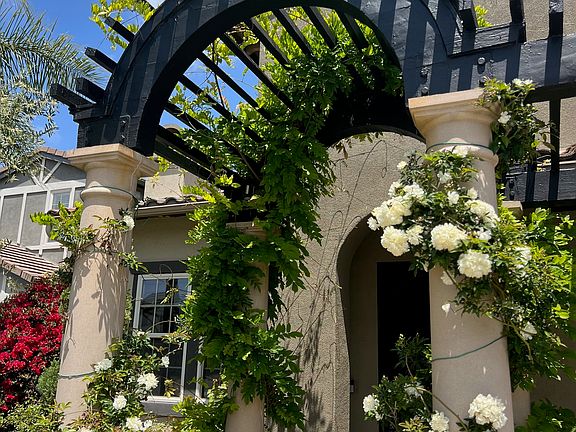 Front of house arbor / trellis