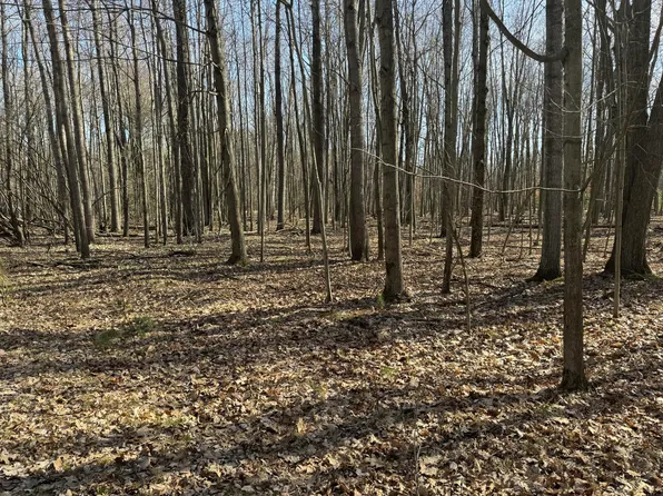 6060 Deerfield Rd, Stanwood, MI 49346