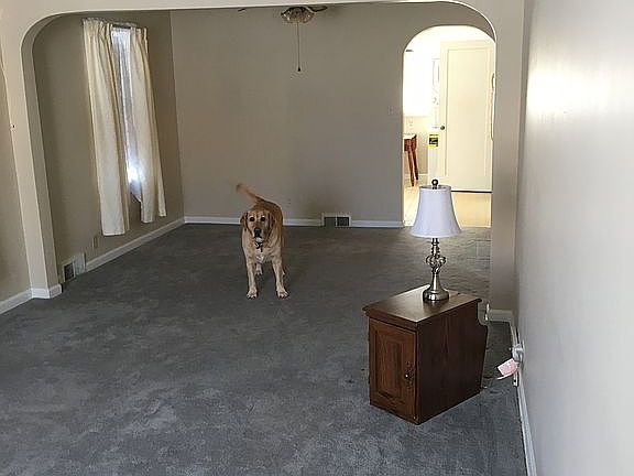 2nd image of 54 Hill Ave