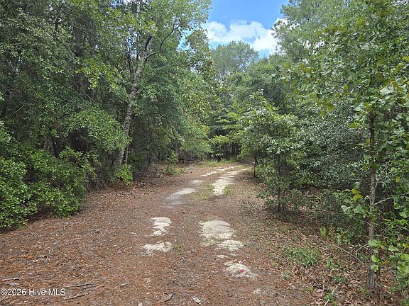 5th image of 317 R J Johnson Road