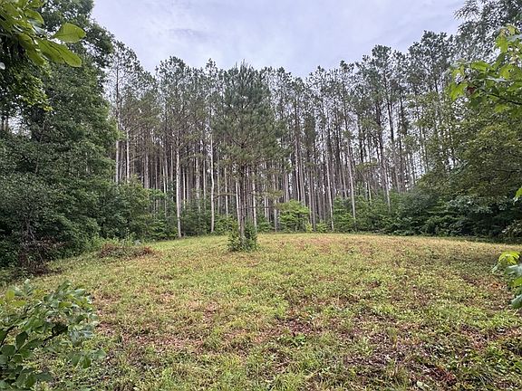 5th image of 0 Johnson Hollow Rd