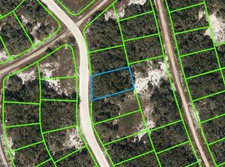 235 Hopedale Dr, Lake Placid, FL 33852