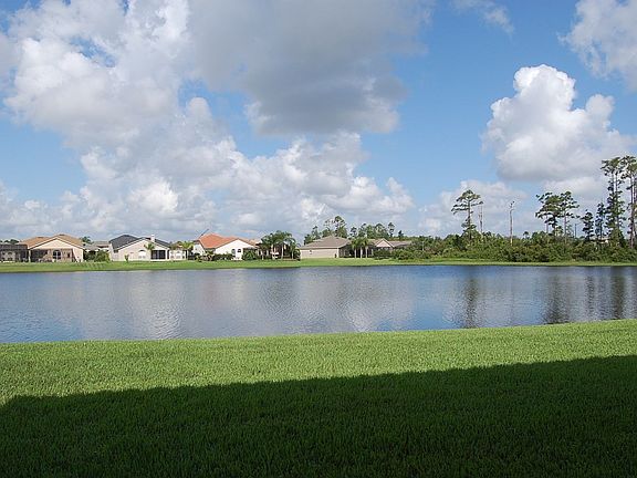 Pond view from back of home.