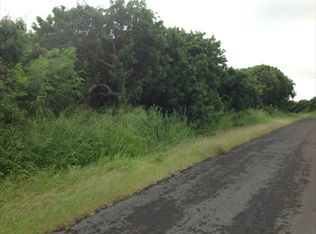 Kia Lua St LOT 744, Naalehu, HI 96772